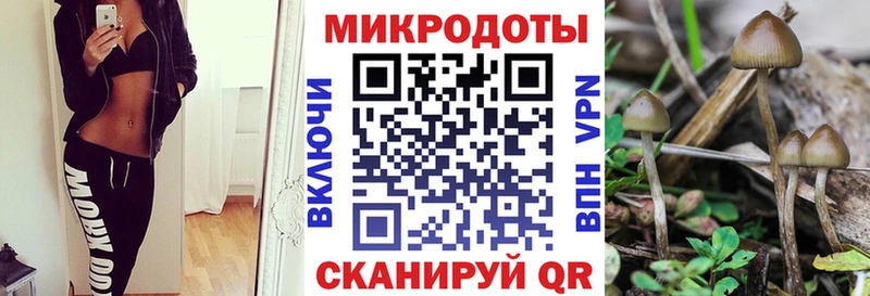 Псилоцибиновые грибы Psilocybe Багратионовск