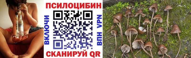 Псилоцибиновые грибы Psilocybe  mega зеркало  Багратионовск 